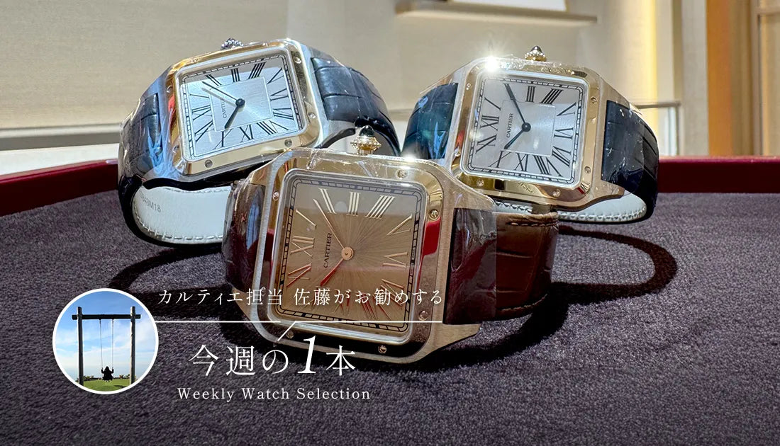 いつでも眠れるカビゴン専用　Cartier 腕時計 サントスデュモン保証延長あり CARTIER（カルティエ）サントス デュモン - ビジネスマインドを