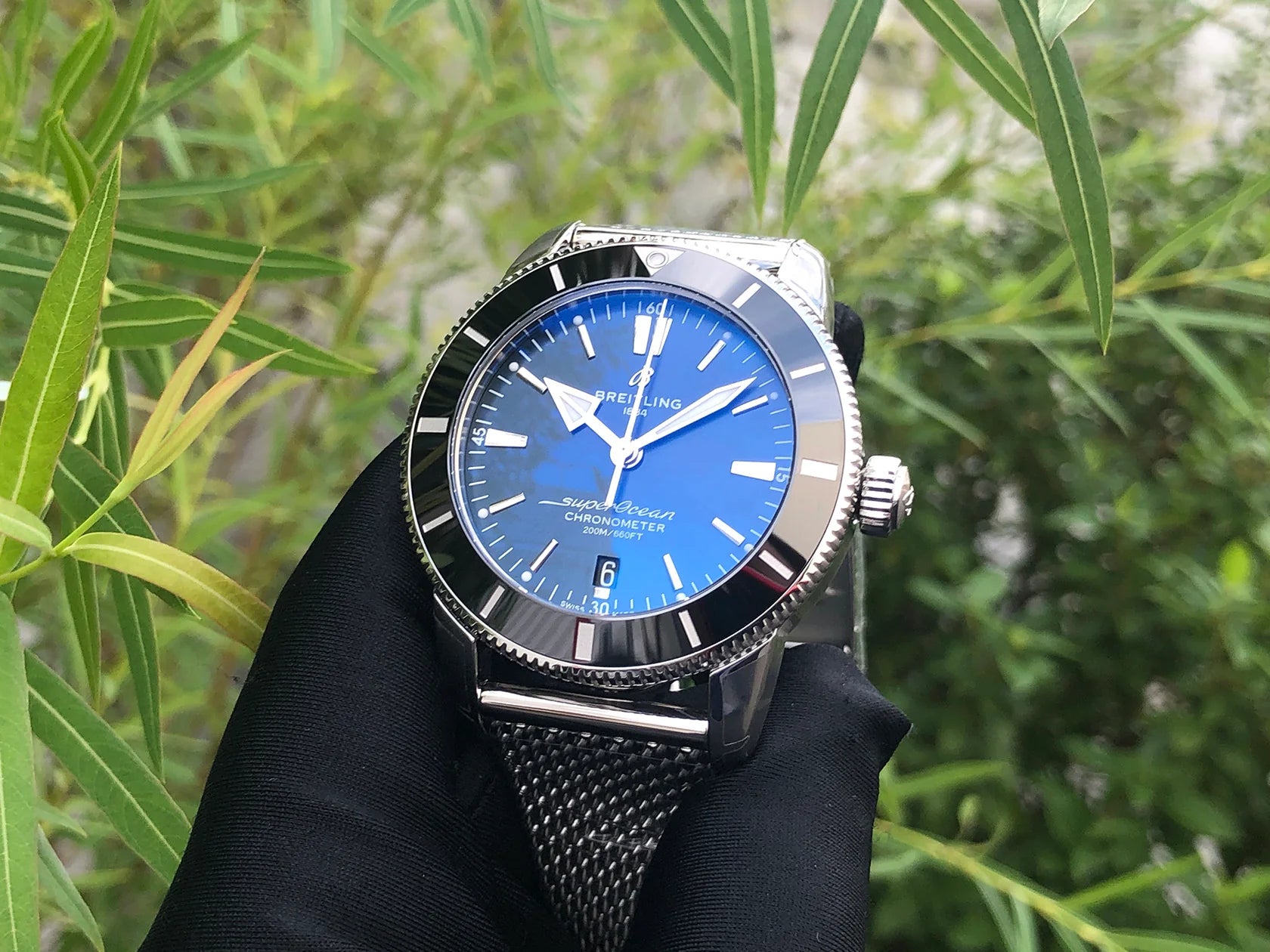 IMG_8304.webp?v=1707992074