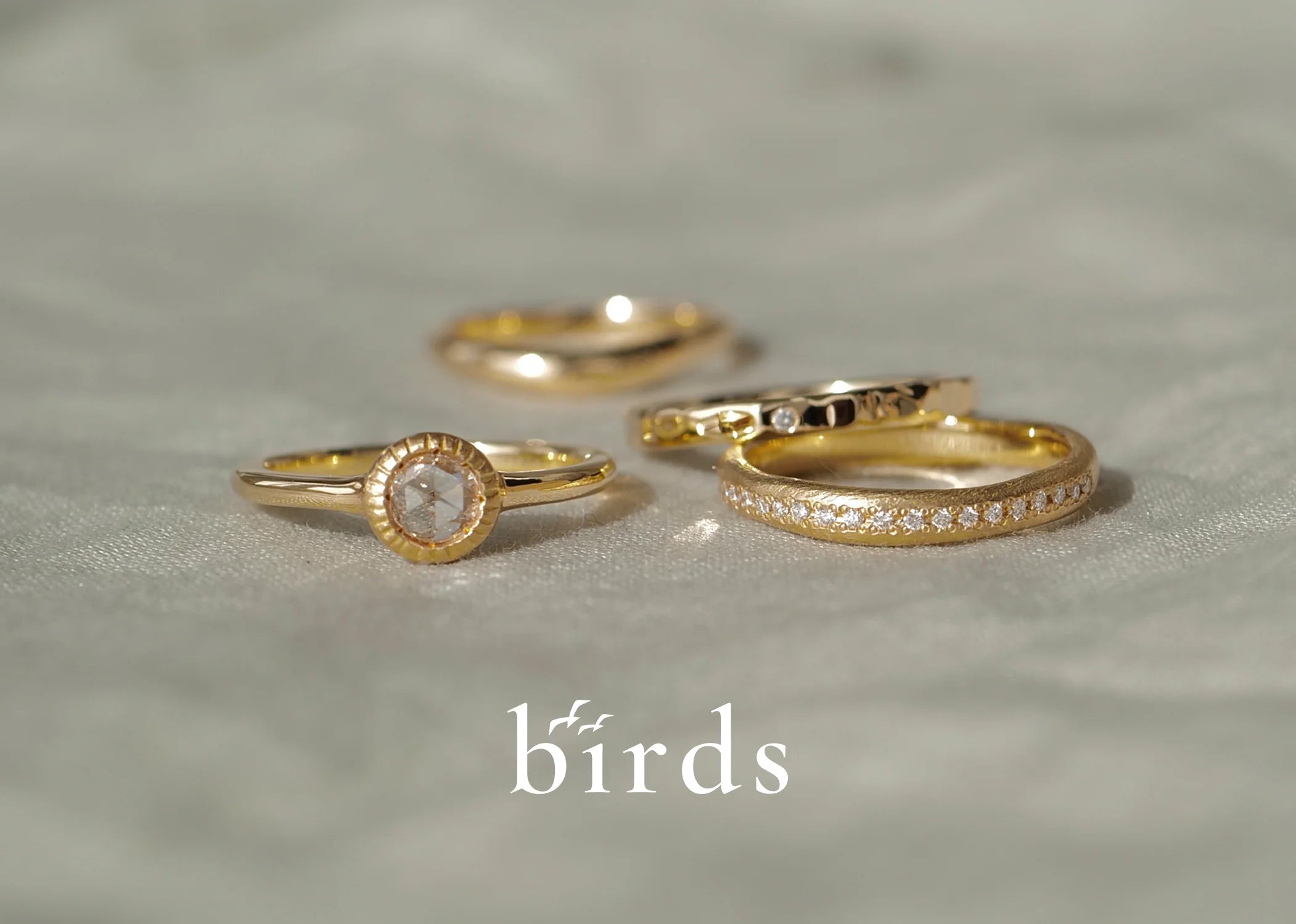 birds_2L_73255009-8ad9-4129-