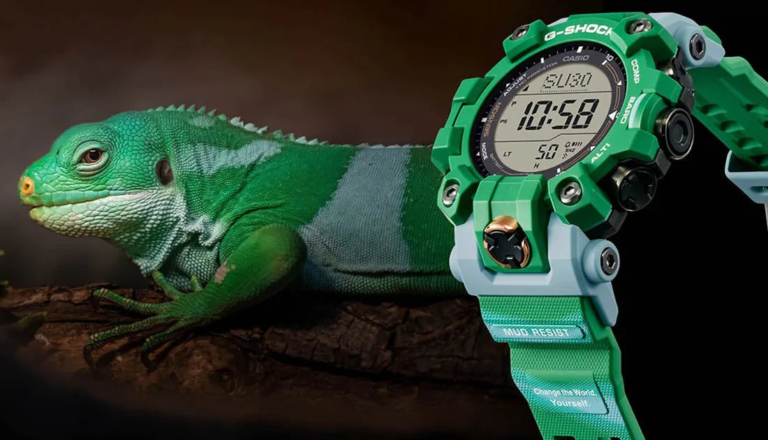 絶滅危惧種ヒロオビフィジーイグアナを支援するEARTHWATCH x G-SHOCKの 絶滅危惧種ヒロオビフィジーイグアナを支援するEARTHWATCH x G-SHOCKの