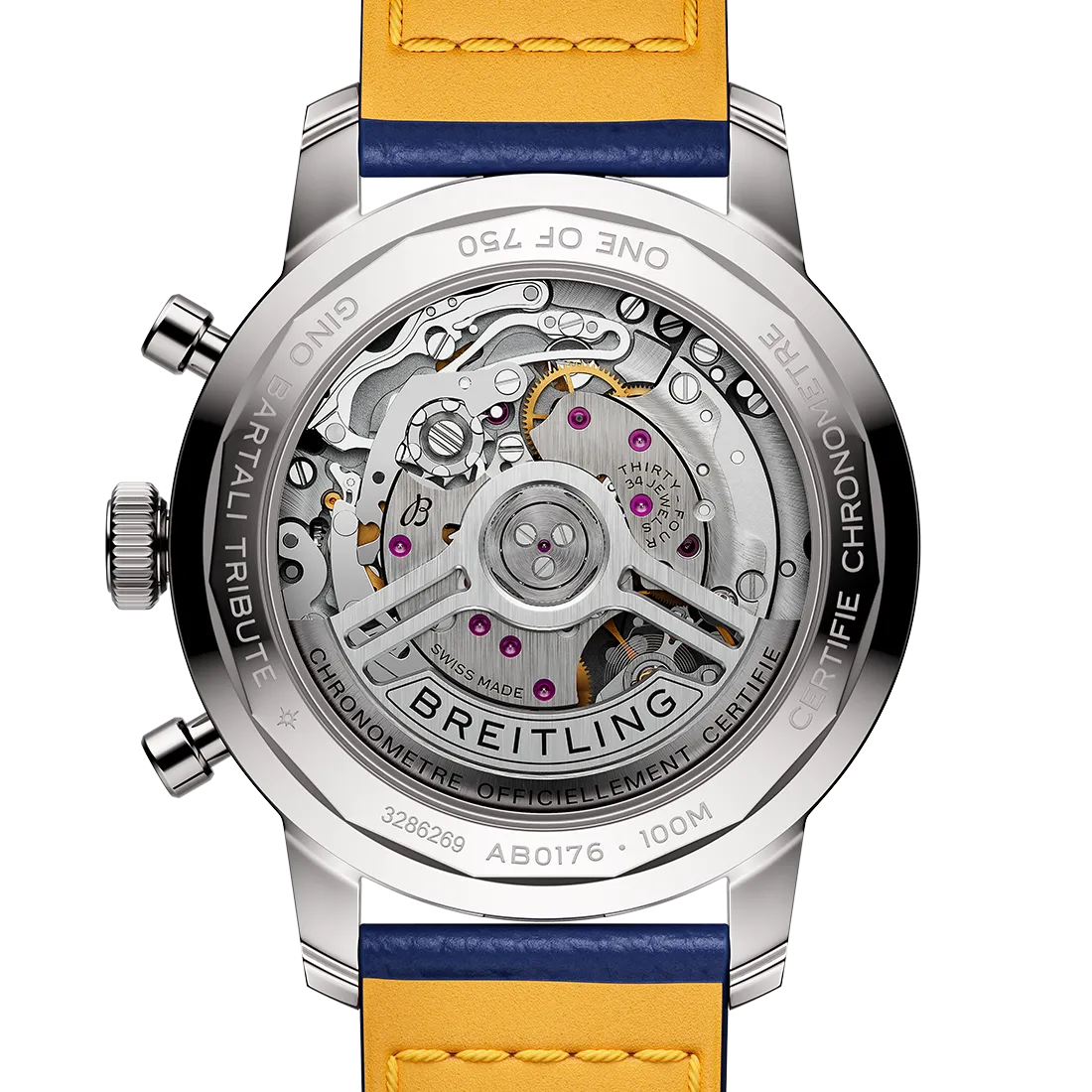 トップタイム B01 GINO BARTALI〈限定モデル〉