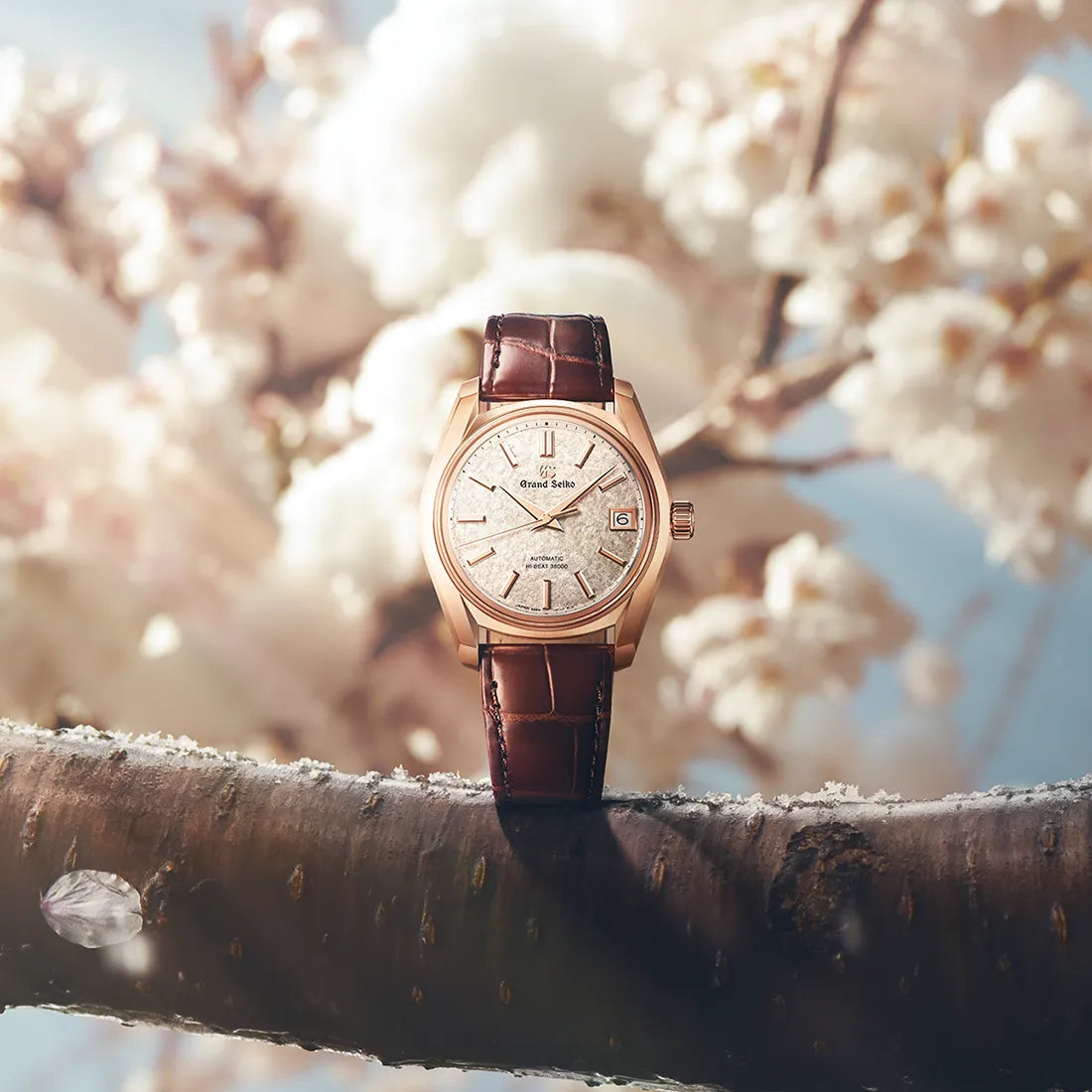 Heritage Collection メカニカルハイビート 36000