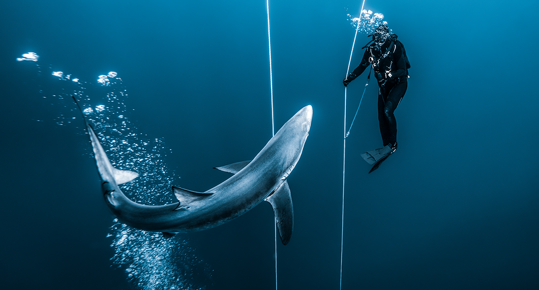 【腕時計】DELMA / デルマ