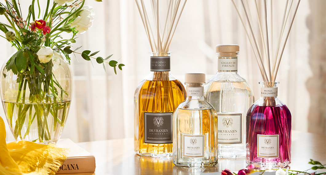 【ギフト】Dr. Vranjes / ドットール・ヴラニエス