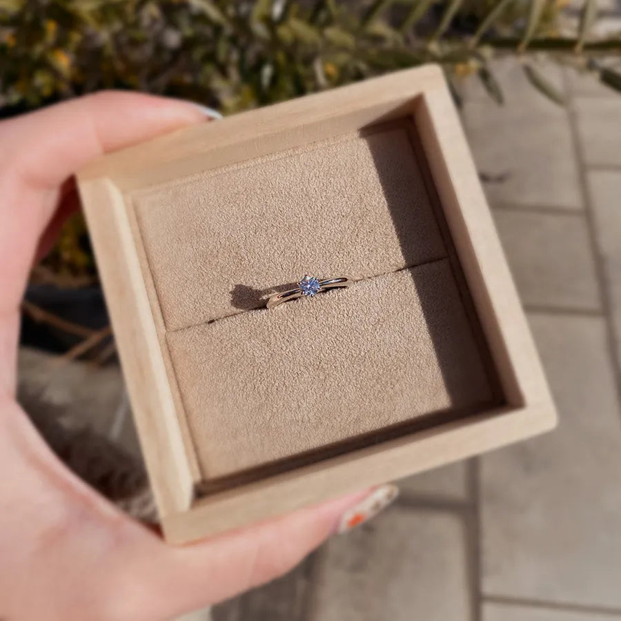 Apple of my eye / アップルオブマイアイ