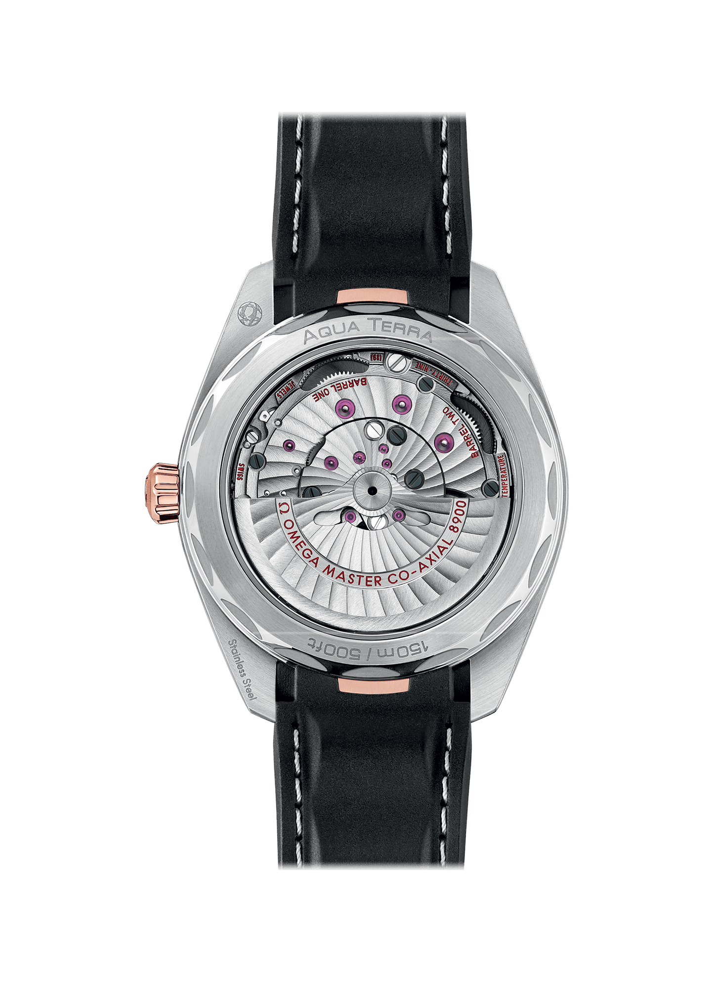 Seamaster Aqua Terra Master Chronometer 41MM