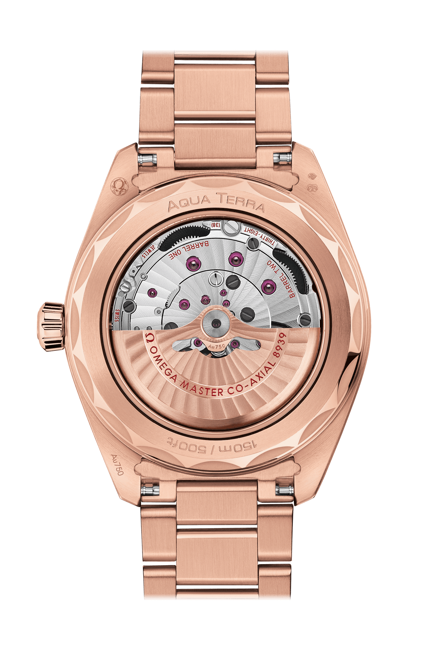 Seamaster Aqua Terra GMT Worldtimer