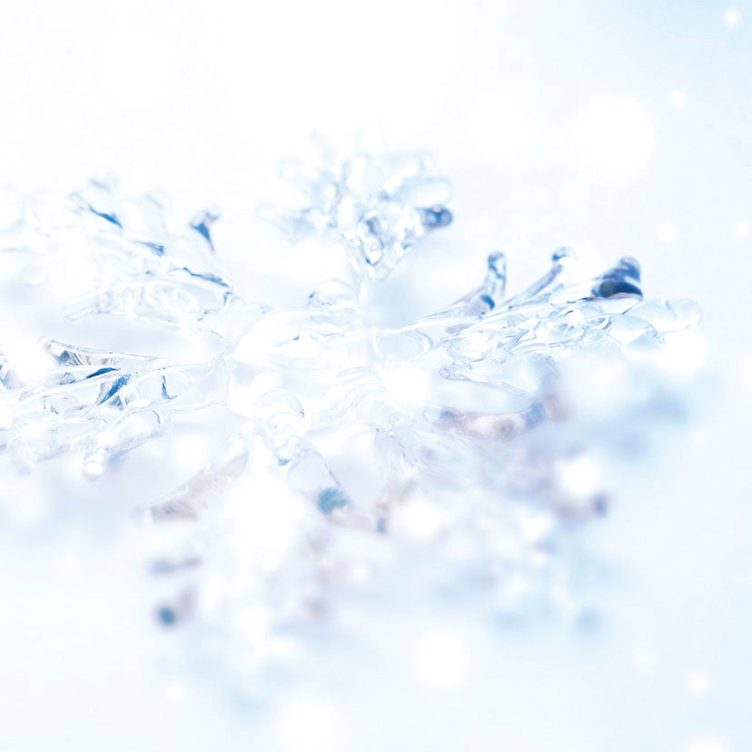 【婚約指輪】 ノエルブラン