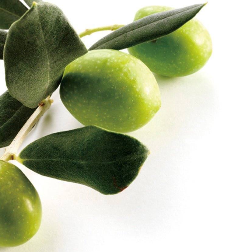 【結婚指輪】 オリヴィエ