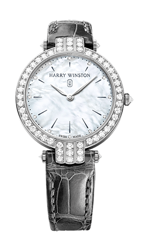 プルミエール 36mm