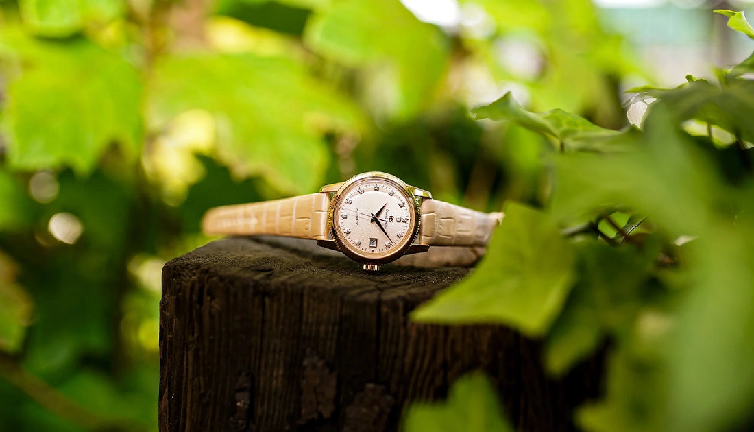 【Grand Seiko / グランドセイコー】西日本の専門店で唯一入荷した希少モデル！ STGK026