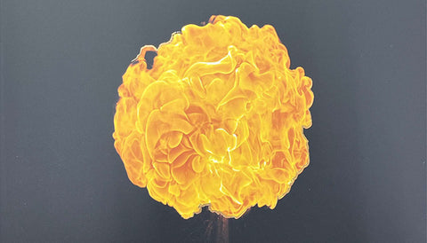 CENTURION にアイアイイスズが掲載されました。