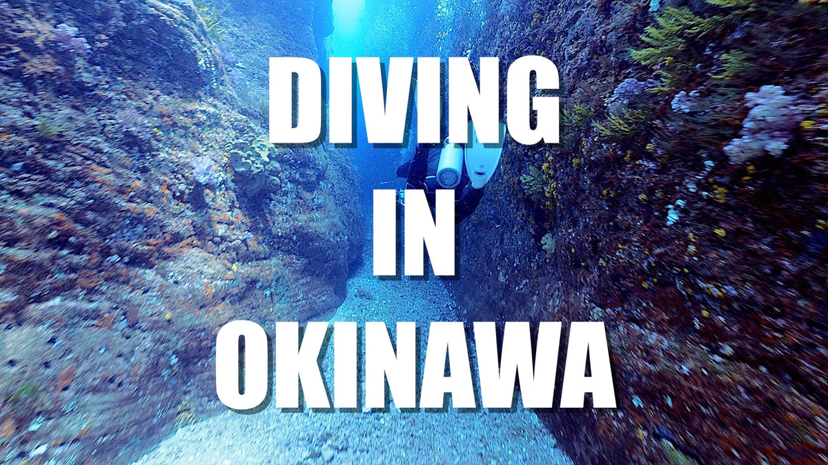 [GARMIN] 神スペック！沖縄の海でDescent(ディセント)シリーズを使ってみた