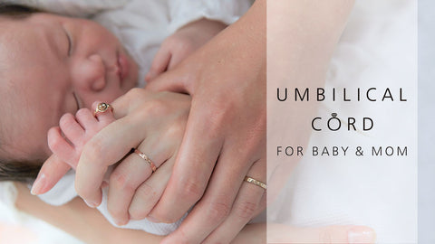 こどもの日&母の日＆父の日 Umbilical Cord Anniversary Fair