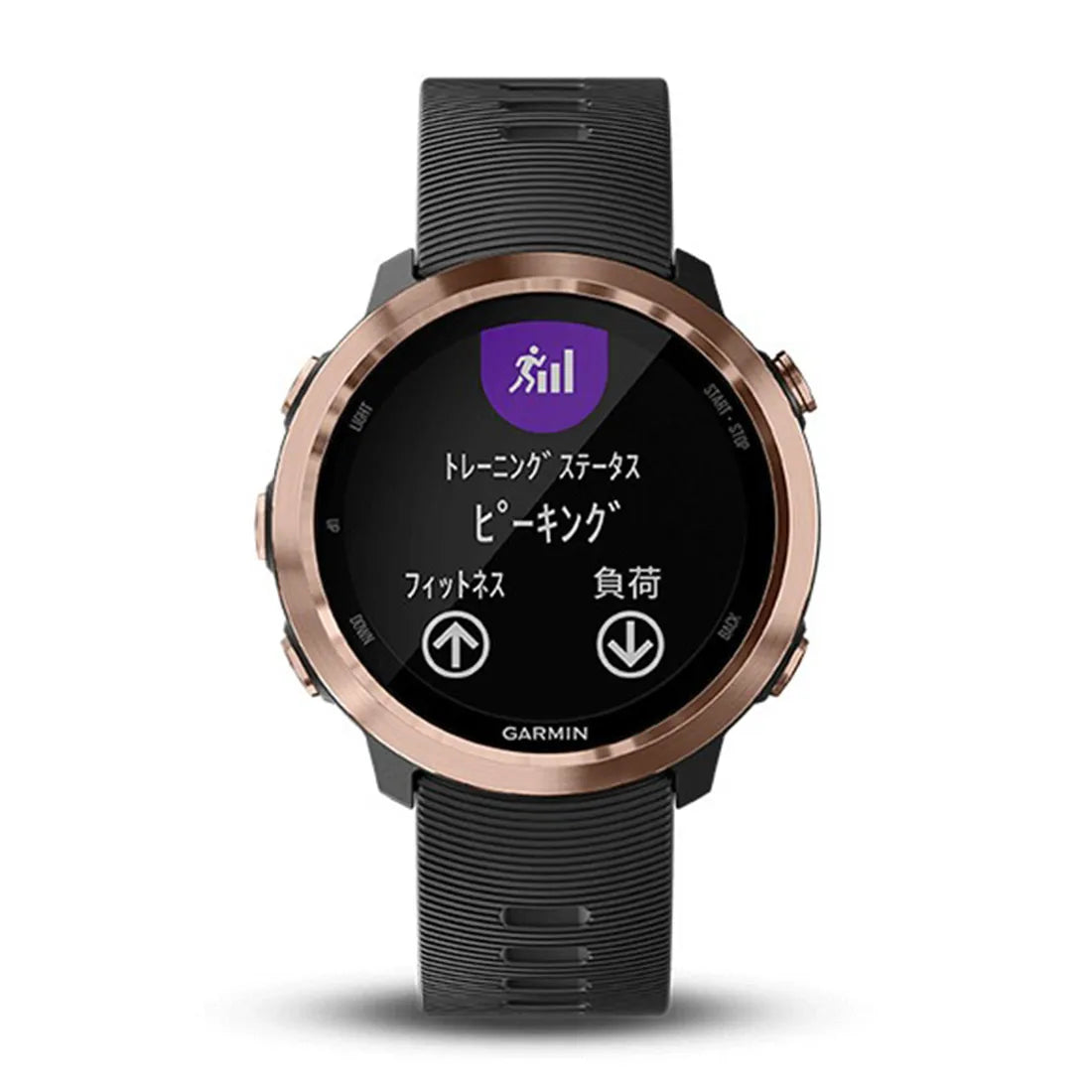 取り扱い終了 / ForeAthlete 645 Music