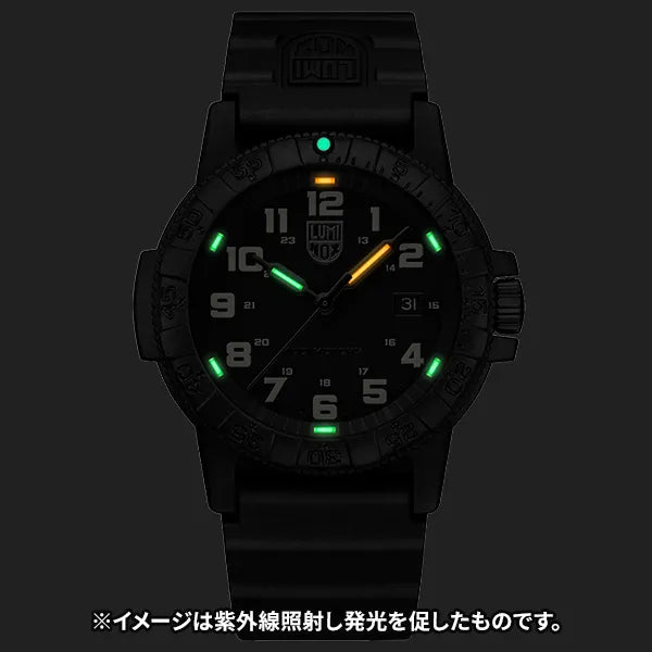 レザーバックシータートルジャイアント 0320シリーズ 0330 レザーバックシータートルジャイアント 0320シリーズ 0330