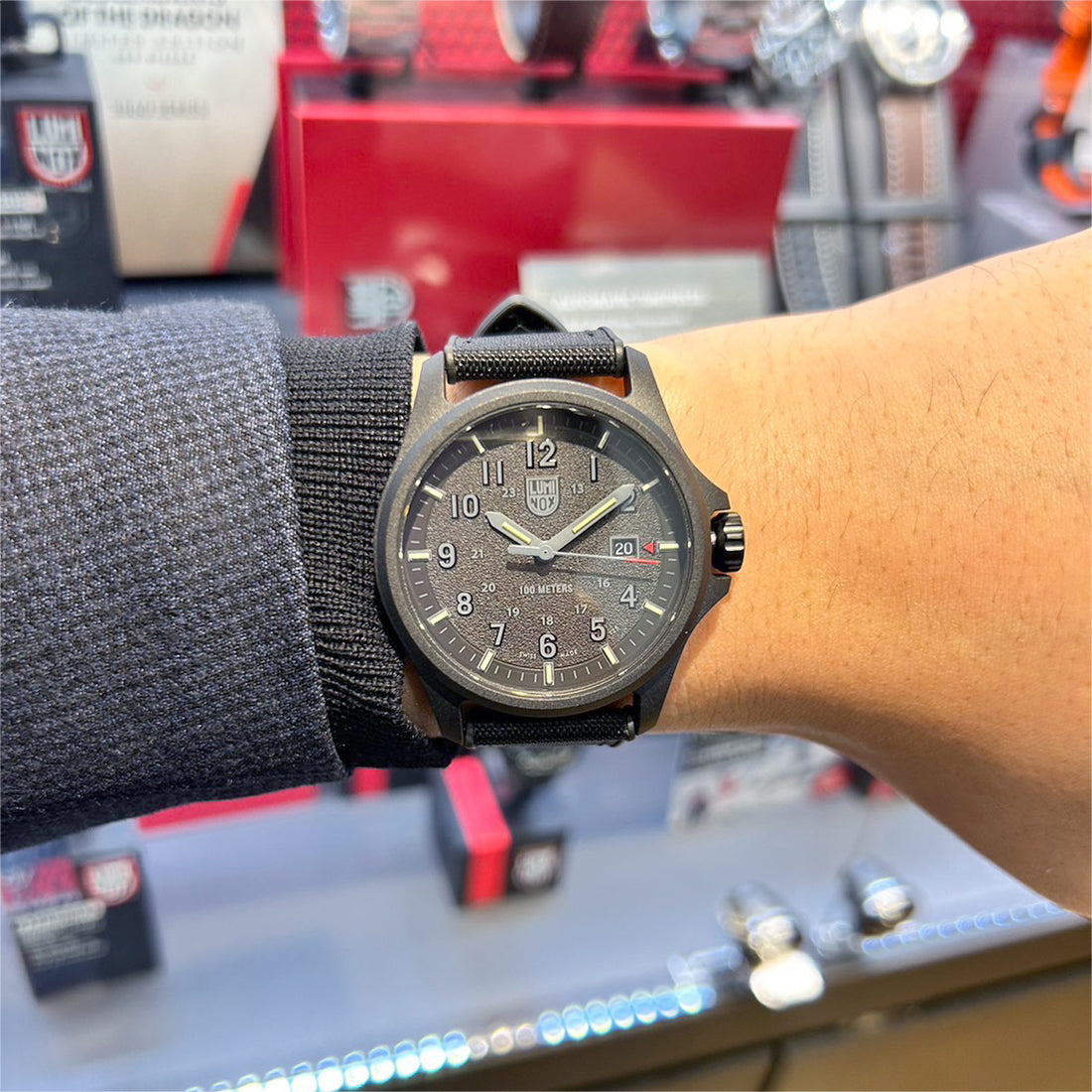 アタカマフィールド 1960シリーズ ※ノベルティプレゼント