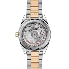 シーマスター アクアテラ シェード 34MM