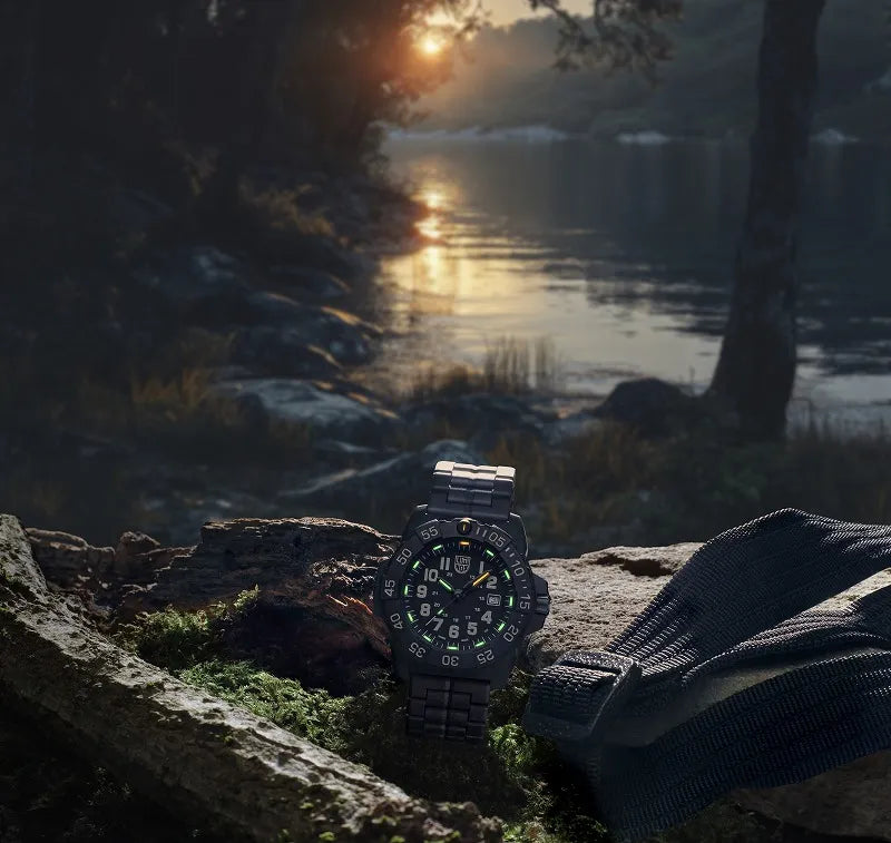 自己発光システム