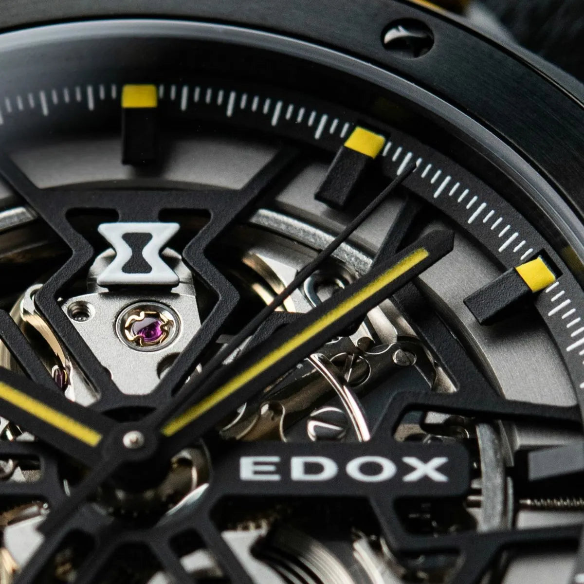 <tc>Delfin Mecano Automatic</tc>