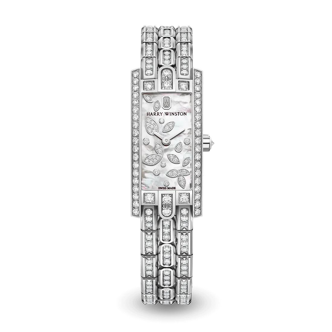 アヴェニューC ミニ リリークラスター