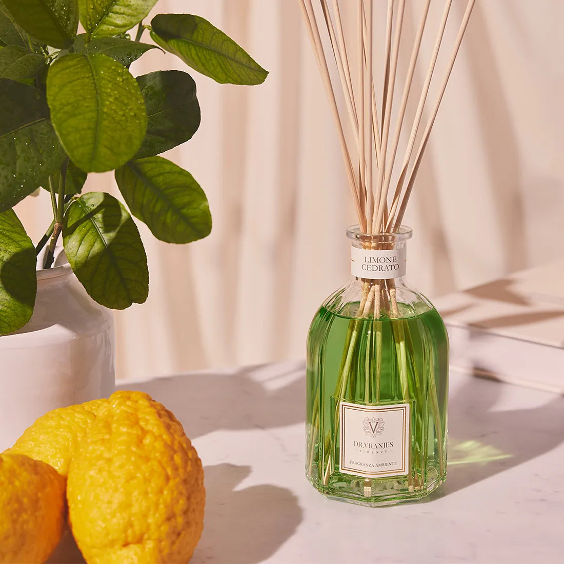 ディフューザー LIMONE CEDRATO〈リモーネ チェドラート〉