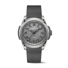 ワイルドワン メテオライト スペシャルエディション 42MM