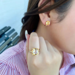 プチ・ヴィサージュ・ダムール ピアス