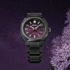 NEXTER next solar radio model SBXY061