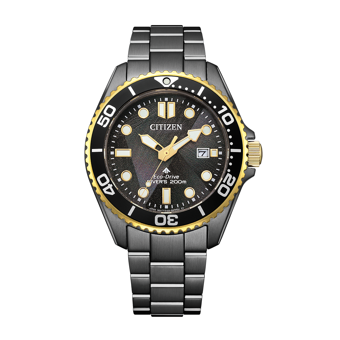 【予約注文】LIGHT in BLACK Eco-Drive 50th Anniversary Edition
