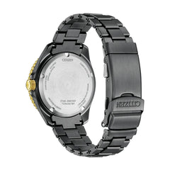 【予約注文】LIGHT in BLACK Eco-Drive 50th Anniversary Edition