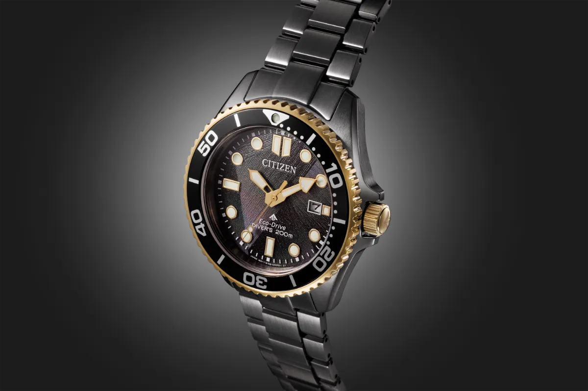 【予約注文】LIGHT in BLACK Eco-Drive 50th Anniversary Edition