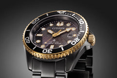 【予約注文】LIGHT in BLACK Eco-Drive 50th Anniversary Edition