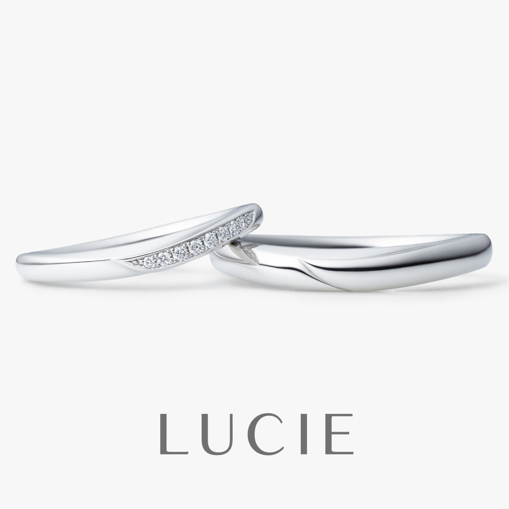 Dolphin ドルフィン