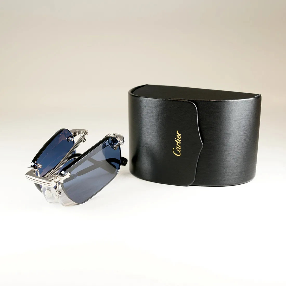 CT0499S-002