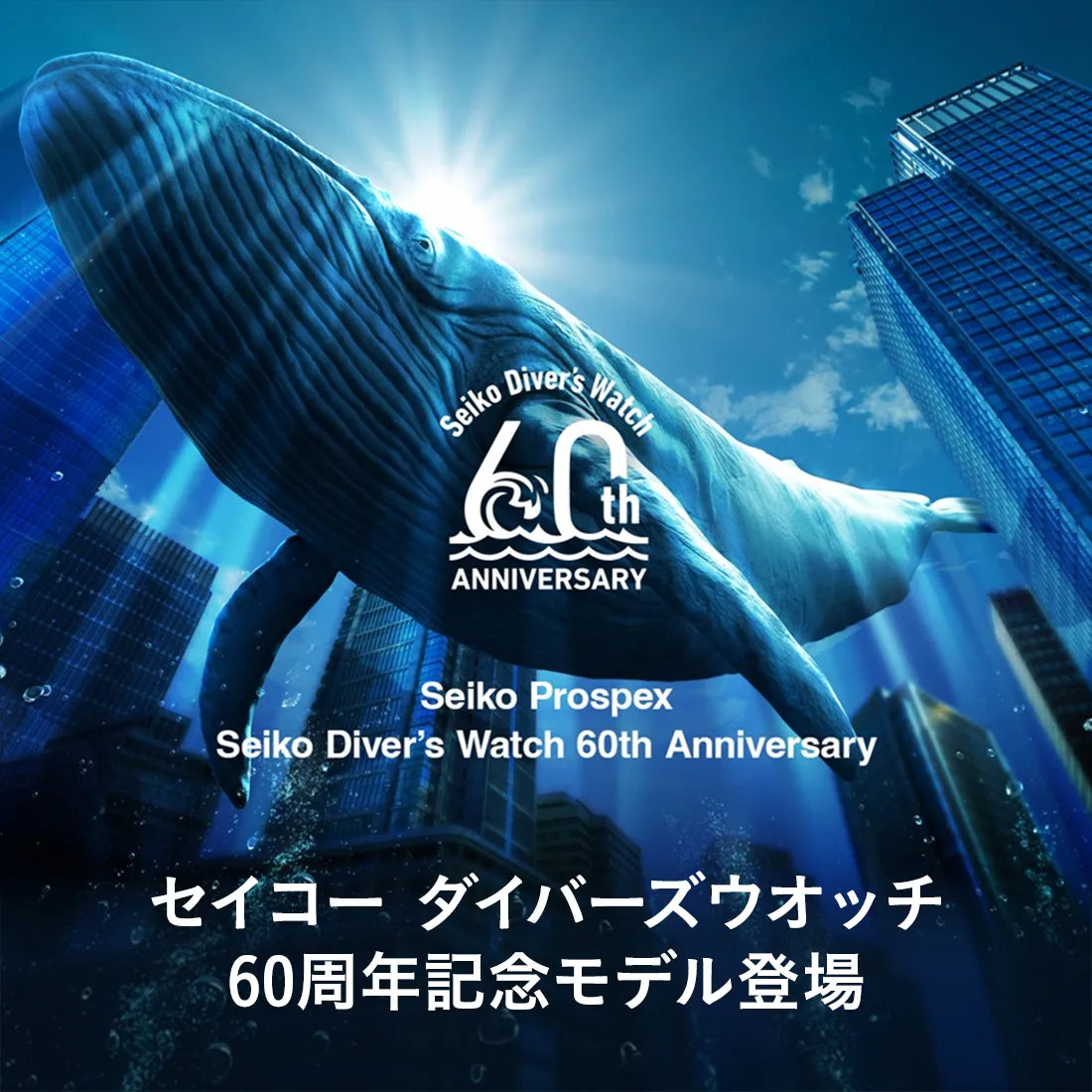 [完売]ダイバースキューバ〈セイコーダイバーズウオッチ 60周年記念 限定モデル〉 ※ノベルティプレゼント