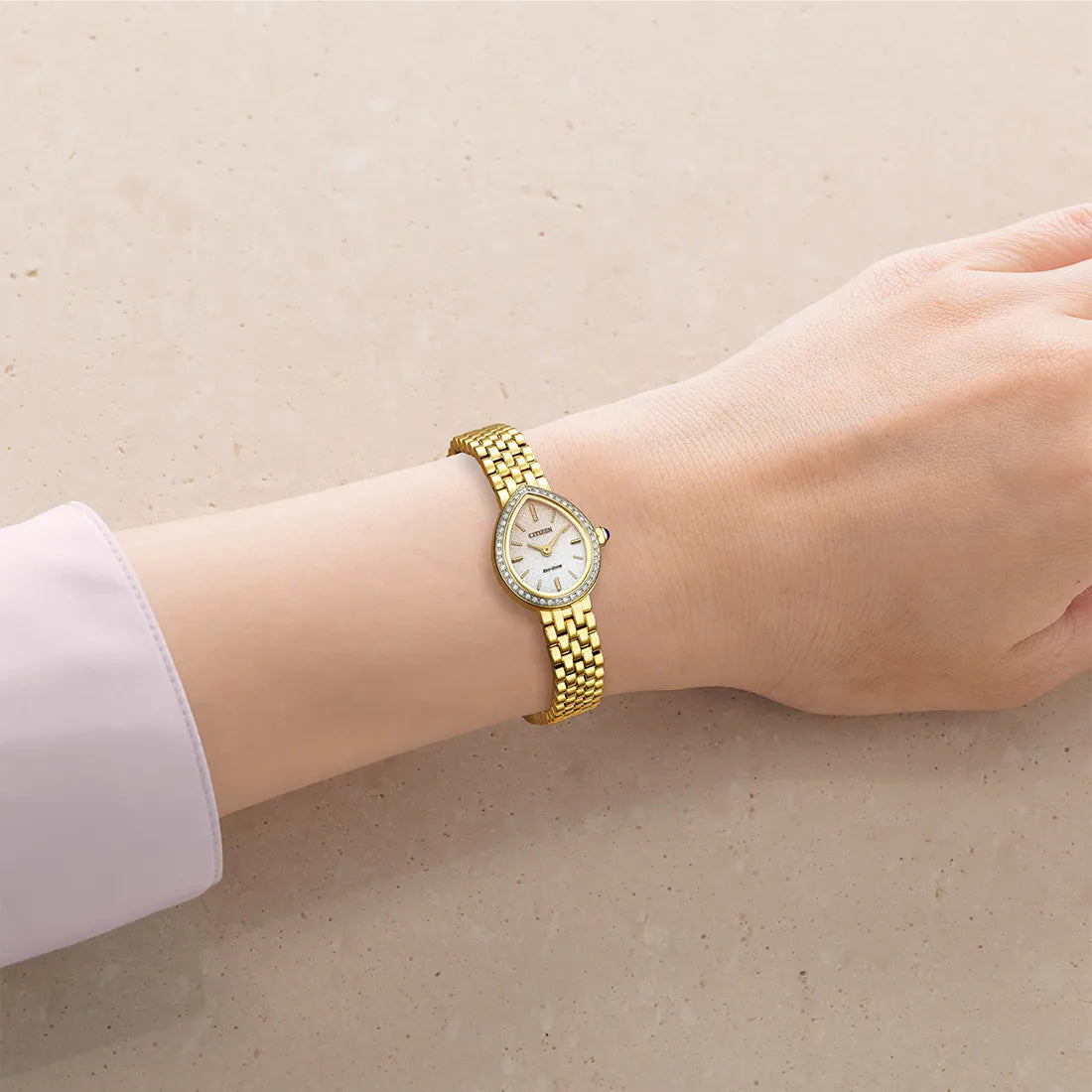 【予約注文】光発電エコ・ドライブ RAINELL Collection 限定モデル
