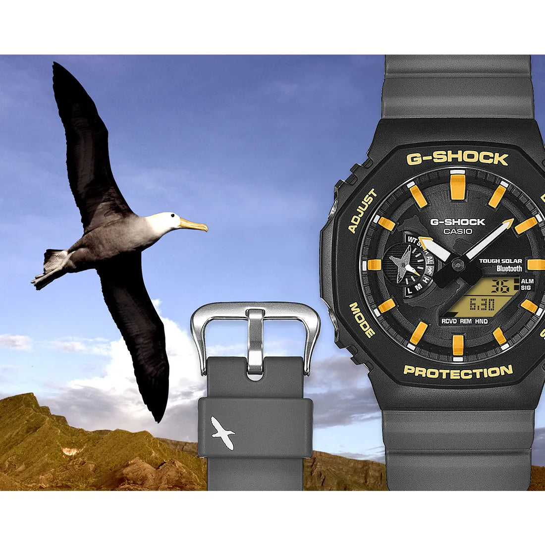 チャールズ・ダーウィン財団 コラボレーションモデル