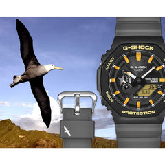 チャールズ・ダーウィン財団 コラボレーションモデル