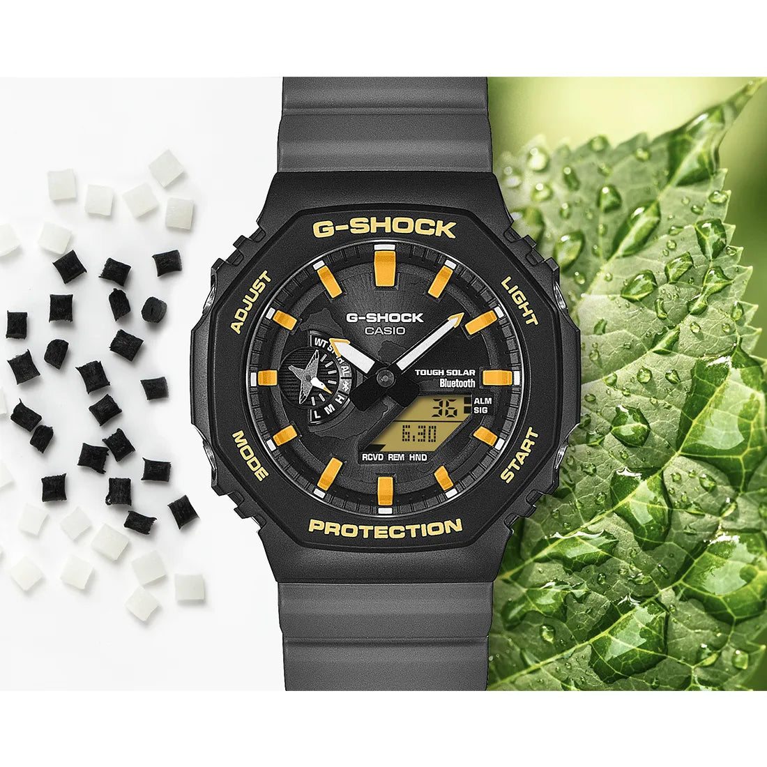 チャールズ・ダーウィン財団 コラボレーションモデル