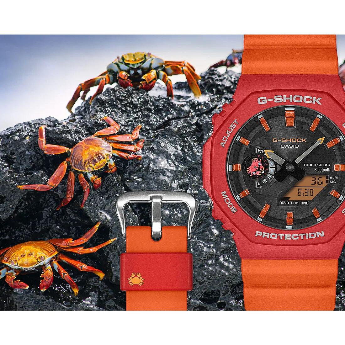 GA-B2100DF-4AJR チャールズ・ダーウィン財団 コラボレーションモデル