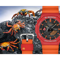 新品　GA-B2100DF-4AJR　G-SHOCK　チャールズ・ダーウィン GA-B2100DF-4AJR チャールズ・ダーウィン財団 コラボレーションモデル