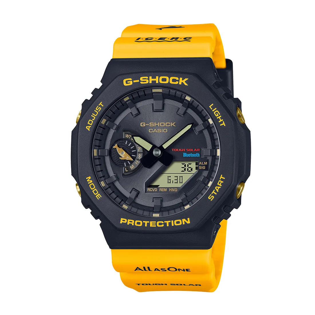 Love The Sea And The Earth