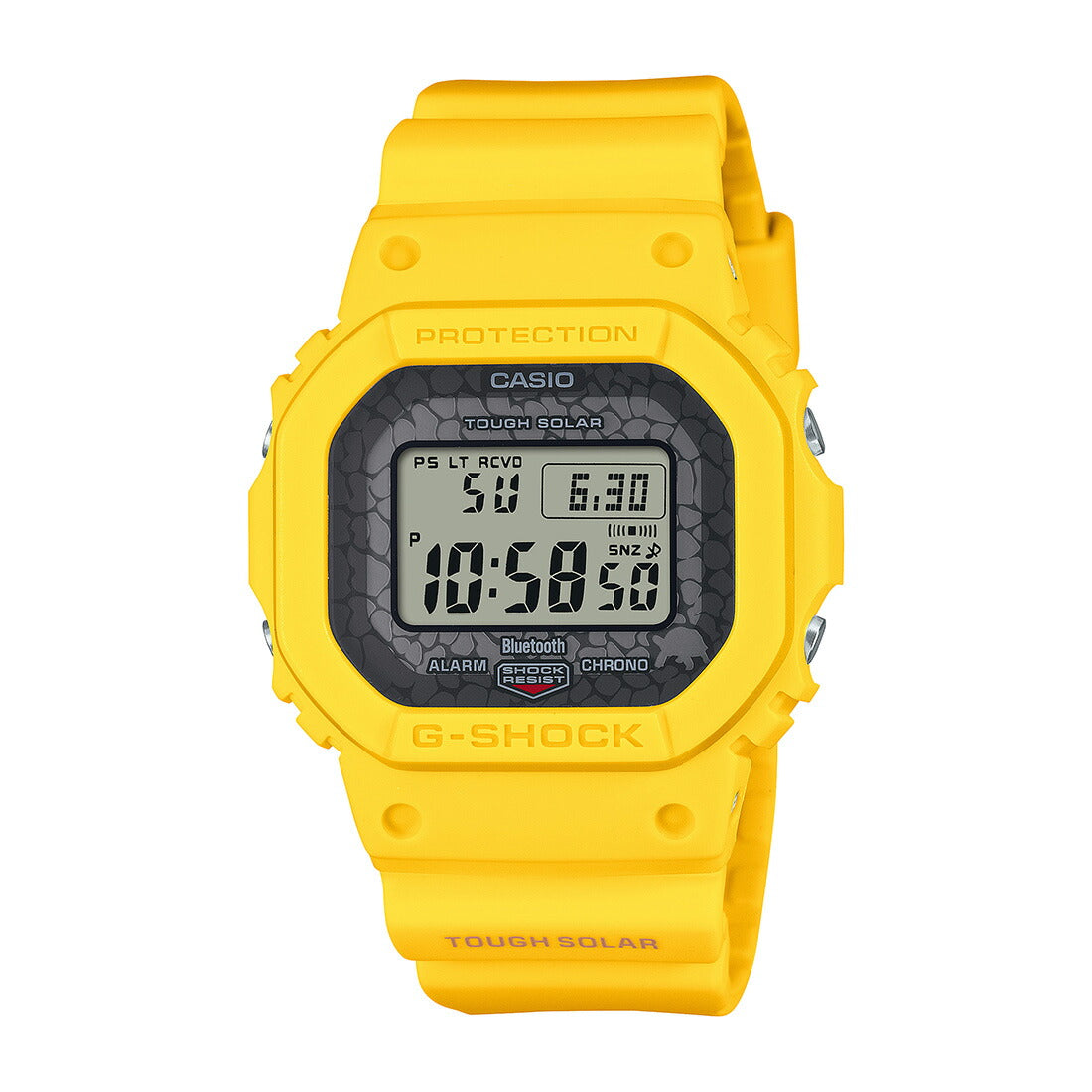 DW-5600シリーズ  チャールズ・ダーウィン財団 コラボレーションモデル