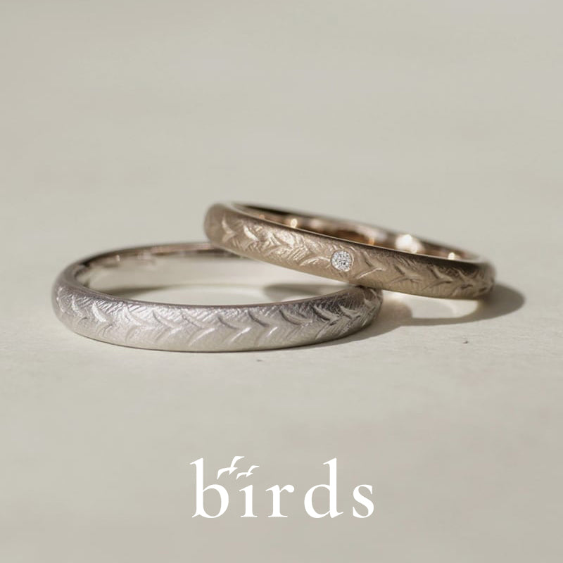 birds / バーズ ハーベスト