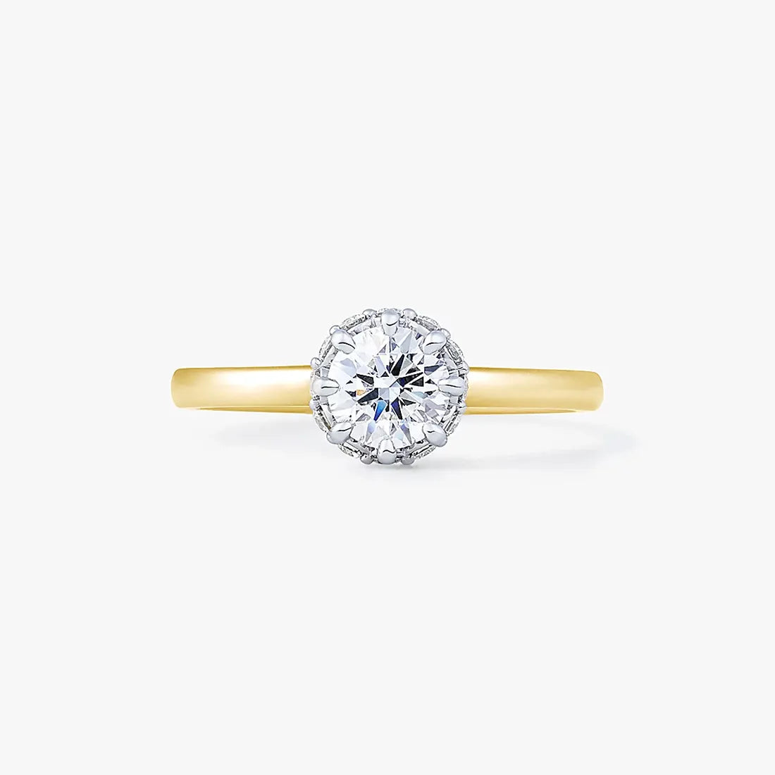 [Engagement Ring] Branche