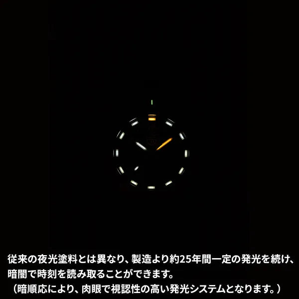 オリジナル ネイビーシール 3000シリーズ