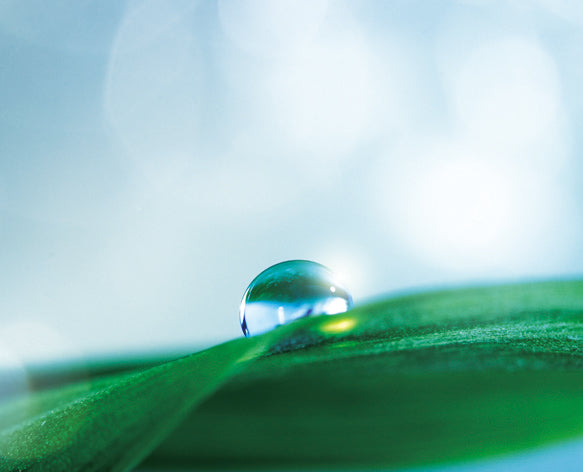 [Engagement Ring] Rouka