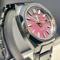 NEXTER next solar radio model SBXY061