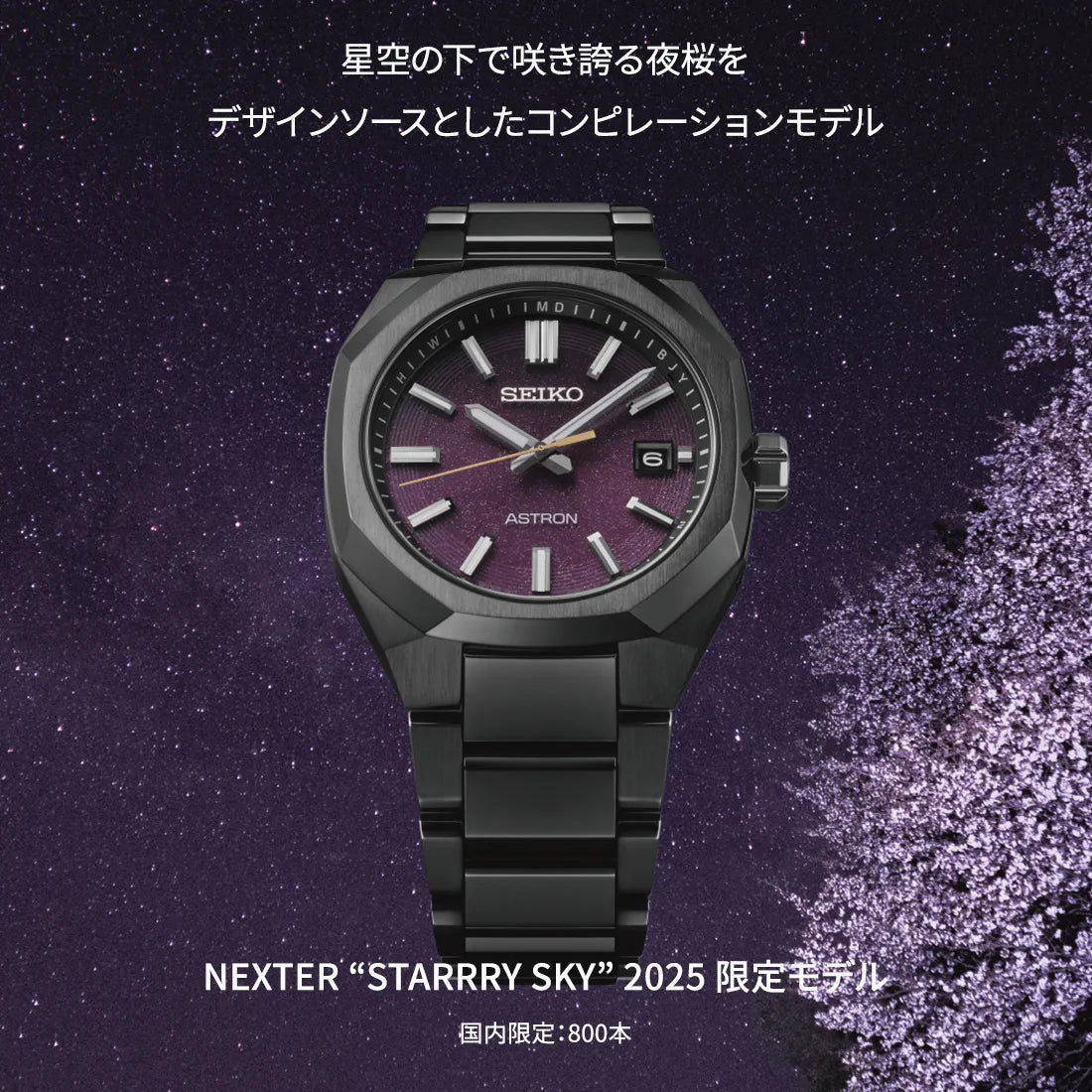 NEXTER next solar radio model SBXY061
